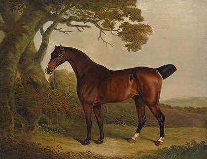 在风景中拴在树上的海湾马`A bay horse tethered to a tree in a landscape by Thomas Weaver