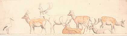 一只皱眉鹿和一只鹳`En rudel hjorte og en stork (1854 ~ 1858) by P. C. Skovgaard