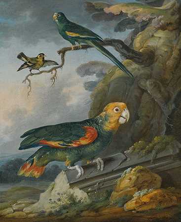 树下有一只鹦鹉、一只佩罗奎特和一只金雀`A Parrot, A Perroquet And A Gold Finch At The Base Of A Tree by Christophe Huet