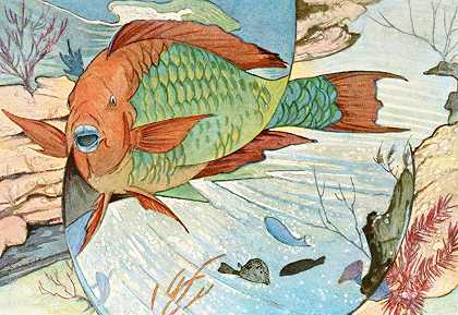 鹦鹉鱼`Parrot fish (1929~1932) by Stephen Haweis