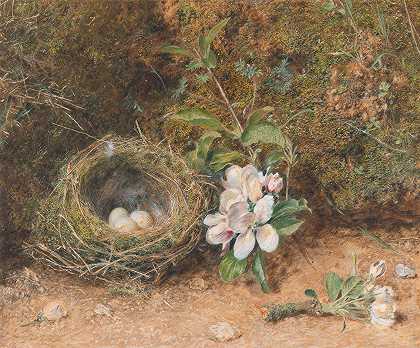 伯德威廉·亨利·亨特（William Henry Hunt）的《苹果花的鸟巢》`Birds Nest with Sprays of Apple Blossoms (ca. 1847) by William Henry Hunt