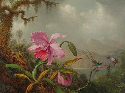 兰花和蜂鸟`Orchids And Hummingbirds by Martin Johnson Heade
