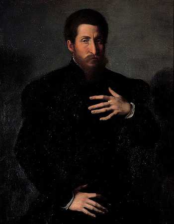 阳刚男子的画像`Portrait of a virile man (between 1545 and 1549) by Girolamo Da Carpi