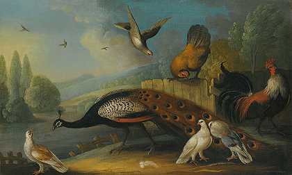 河景中孔雀、鸽子和鸡的静物画`A still life with a peacock, pigeons and chickens in a river landscape by Marmaduke Cradock