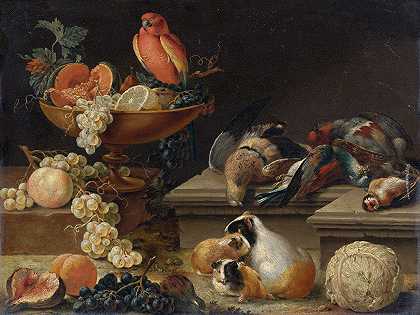 约翰·阿曼达斯·温克的《鹦鹉、猎禽、豚鼠和水果的静物画》`Still Life With A Parrot, Game Fowl, Guinea Pigs And Fruit by Johann Amandus Winck