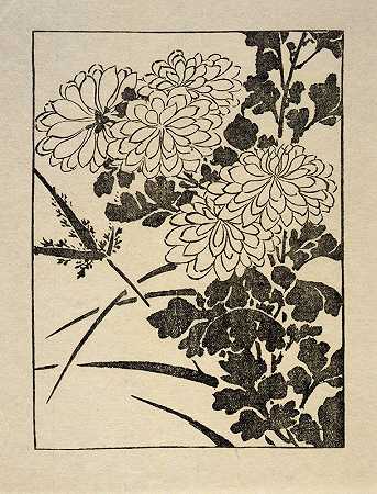 伊普斯维奇印刷菊花`Ipswich Prints; Chrysanthemum (1986) by Arthur Wesley Dow