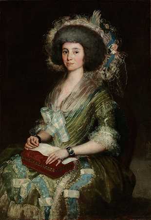 塞恩·贝穆德斯夫人肖像`Portrait of Senora Ceán Bermudez by Francisco de Goya
