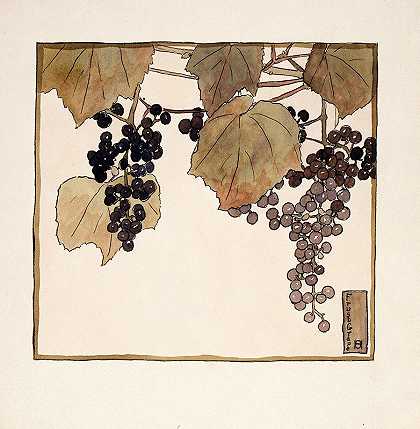 霜葡萄`Frost Grape (circa 1915) by Hannah Borger Overbeck