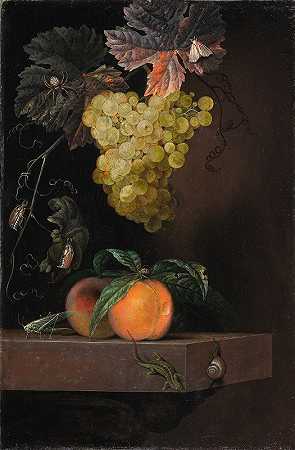 奥特玛·埃利格的《水果、蜥蜴和昆虫的静物》`Still Life with Fruit, Lizard and Insects (1664) by Ottmar Elliger