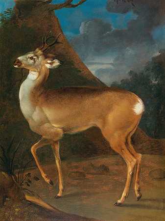羚羊`A roebuck by Heinrich Lihl