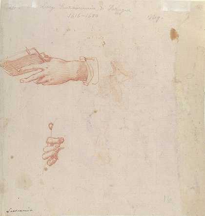 手的两个研究`Two Studies of Hands (1544–97) by Poppi (Francesco Morandini)