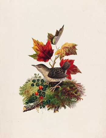秋叶鸟`Bird with Autumn Leaves (ca. 1861–1897) by Louis Prang