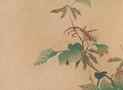 朱家森，Pl.09`Chūka senzen, Pl.09 (ca 1889) by Shunkei Mori