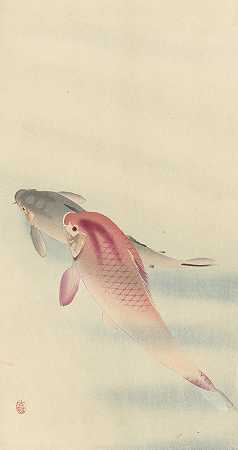 两条鲤鱼`Two carp (1900 ~ 1930) by Ohara Koson