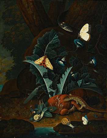约翰·法尔赫的《有蜗牛、蜥蜴、蚱蜢、飞蛾和蛇的森林地面静物》`Forest Floor Still Life With Snails, A Lizard, A Grasshopper, Moths And A Snake by Johann Falch
