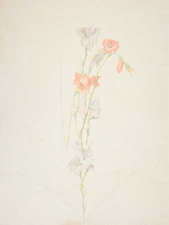 花`Flowers (ca. 1920–25) by Joseph Stella