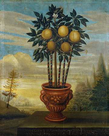大卫·冯·科尔恩的《奥兰格·伊乌纳》`Orangeträd i urna (1733) by David von Cöln