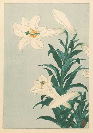 百合花`Lilies (1900 ~ 1930) by Ohara Koson