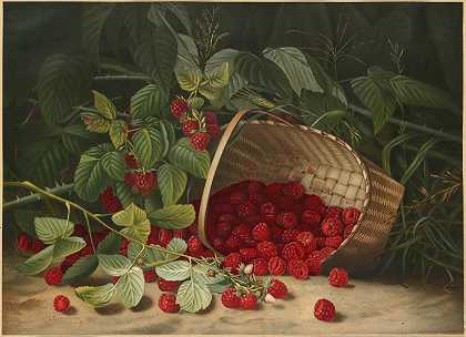 弗吉尼亚格兰伯里树莓`Raspberries (ca. 1861–1897) by Virginia Granberry