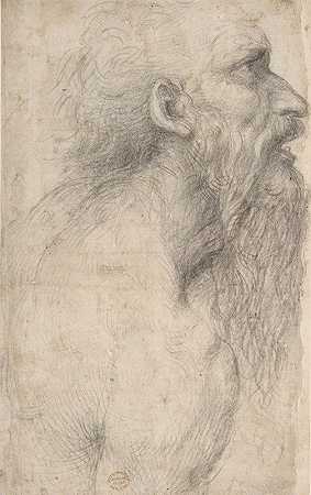 长胡子男人的半身像`Bust of a Man with Long Beard (1477–1549) by Sodoma