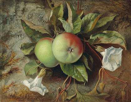 秋天爱德华·约翰·波因特的《苹果和卷心菜》`Autumn; Apples and convolvulus (1880) by Edward John Poynter
