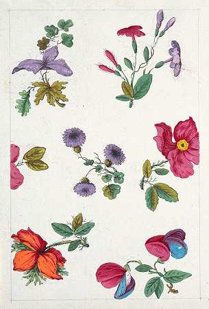 印花纺织品印花设计`Floral design for printed textile Pl XII (1800–1818)