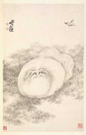 猫与蝴蝶`Cat and Butterfly (1788) by Min Zhen