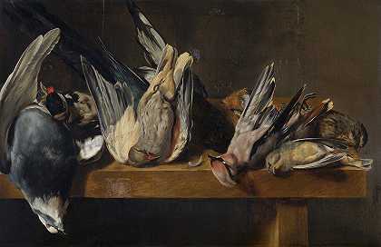 埃利亚斯·冯克的《死鸟》`Dead Birds by Elias Vonck