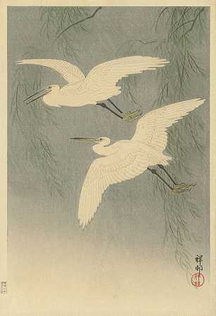 飞行中的小白鹭`Little Egrets in flight (1925 ~ 1936) by Ohara Koson
