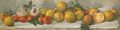 J·E·巴克利对橙子的研究`Study of oranges (1891) by J. E. Barclay