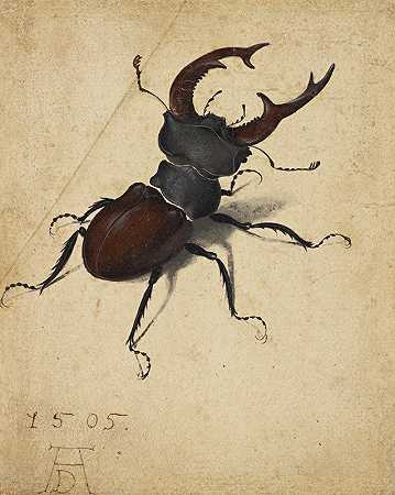 鹿甲虫`Stag Beetle (1505) by Albrecht Dürer