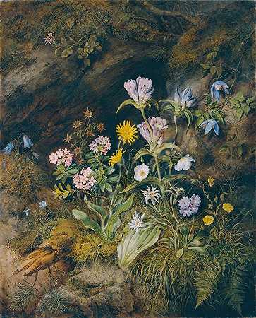 高山植物区系`Alpine Flora (1853) by Theodor Petter