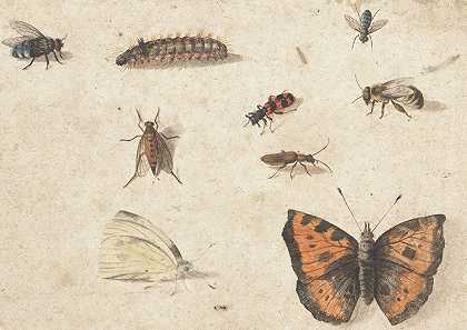 九种昆虫的研究表`Sheet of Studies of Nine Insects (c. 1653 ~ c. 1661) by Jan Van Kessel The Elder
