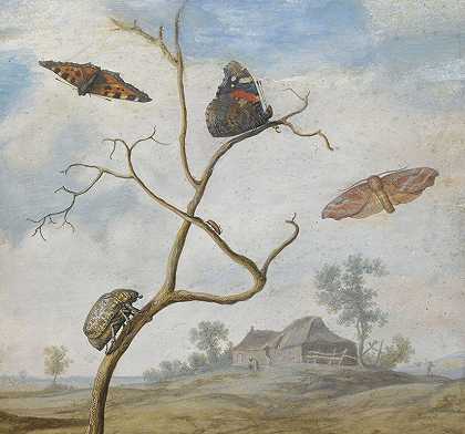 树枝上有一只金龟子，上面有两只蝴蝶、一只飞蛾和一只小甲虫，后面是一片风景`A Cockchafer On A Branch, Two Butterflies, A Moth And A Small Beetle Above, And A Landscape Behind by Margareta de Heer