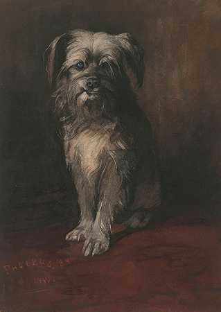 狗菲布斯的肖像`Portrait of the Dog Phoebus (1884) by Willem Witsen