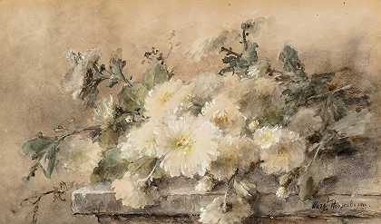 Margaretha Vogel Roosenboom在石壁上喷洒白菊花`Spray of white chrysanthemums on a stone ledge by Margaretha Vogel Roosenboom