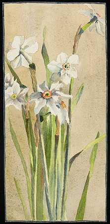 白色水仙，带有灰色调`White Narcissus with Gray Accents (circa 1915) by Hannah Borger Overbeck