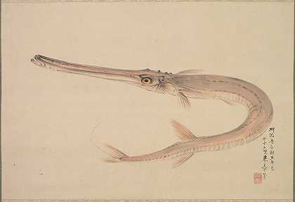 针刀（雅加拉）`Needlefish (Yagara) (1870) by Nakajima Raishō