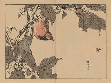 拜里·加夫，第16页`Bairei gafu, Pl.16 (1905) by Kōno Bairei