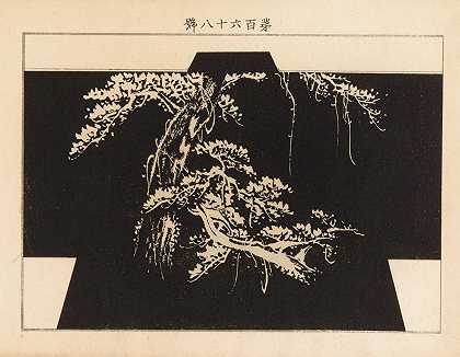 Yachigusa v.6，第18页`Yachigusa v. 6, Pl.18 (1902~1903) by Seikō Ueno