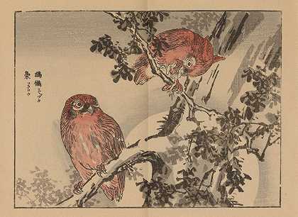 拜雷加夫，Pl.09`Bairei gafu, Pl.09 (1905) by Kōno Bairei