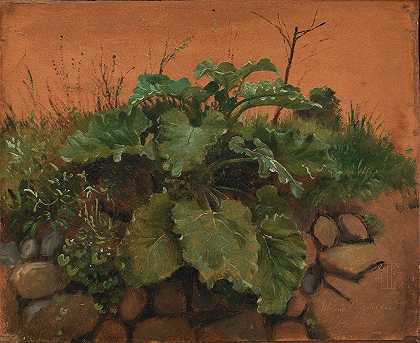 约翰·托马斯·伦德拜的《石墙上的牛蒡和其他植物》`A Burdock And Other Plants On A Stone Wall (1847) by Johan Thomas Lundbye