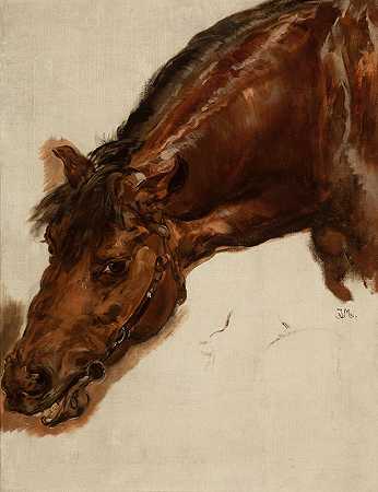 马头的研究`Study of a horse head (1875) by Jan Matejko