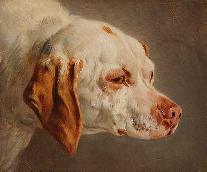 白色和棕色猎犬头`Tête de chien de chasse blanc et brun by Jacques-Raymond Brascassat