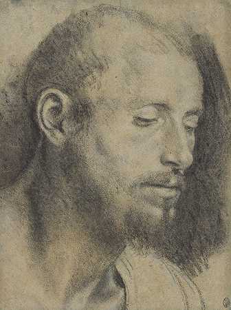 对留胡子男子头部的研究`Study of the Head of a Bearded Man (1533) by Giovanni Girolamo Savoldo