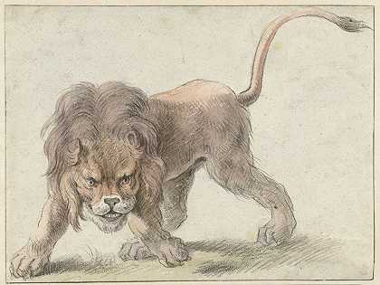 狮`Lion (c. 1626) by Cornelis Saftleven