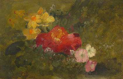 野生花卉，牙买加`Wild Flowers, Jamaica (1865)