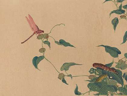 朱家森，Pl.04`Chūka senzen, Pl.04 (ca 1889) by Shunkei Mori