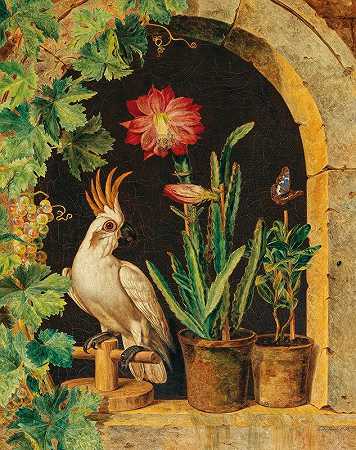 窗边的凤头鹦鹉和盛开的仙人掌和蝴蝶`A Cockatoo at the Window with Blooming Cactus and Butterfly (1835) by Ferdinand Küss