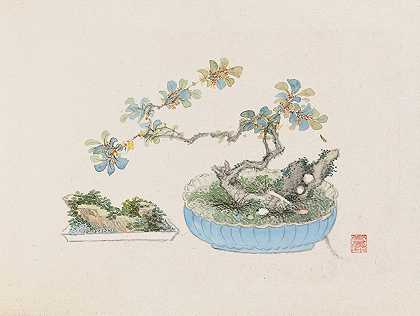 盆景卡本祖，Pl.22`Bonsai kabenzu, Pl.22 (1868~1912)